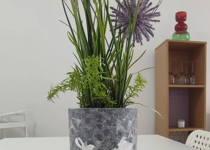 The Colorful House - Park Apartament *